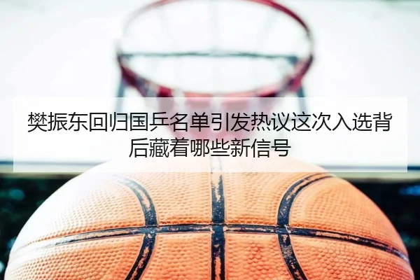 樊振东回归国乒名单引发热议这次入选背后藏着哪些新信号